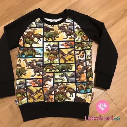 Dinosaurier-Sweatshirt