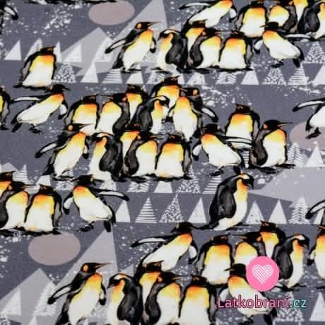 Teplákovina potisk tučňáci na ledovci 