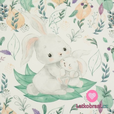 Panel králíčí mláďátko s maminkou