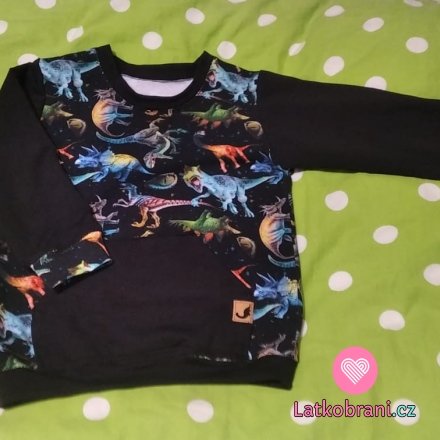 Sweatshirt mit Dinosauriern für Sohn