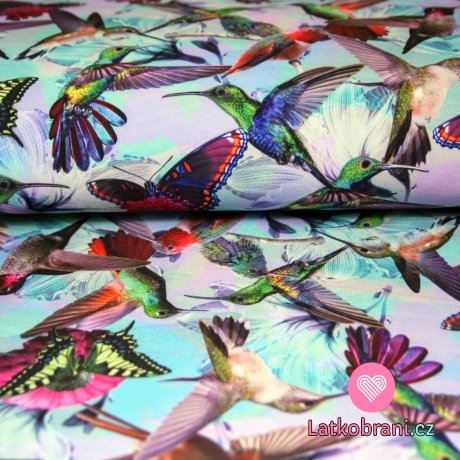 Softshell digitisk kolibřík s motýly